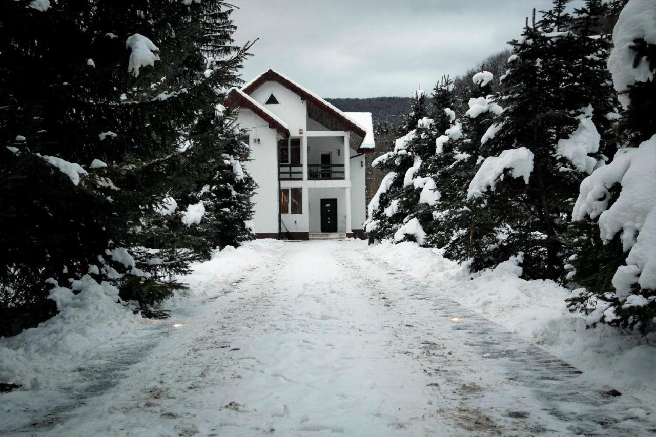 Privilegio 148 Sâmbăta Sîmbăta de Sus Extérieur photo